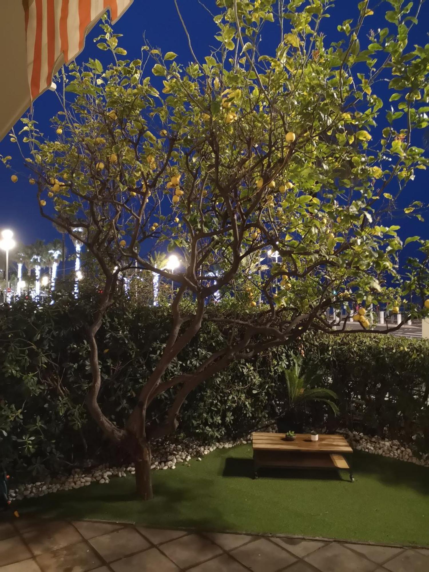 Garden Atlantide Promenade Apartment Nice Ngoại thất bức ảnh