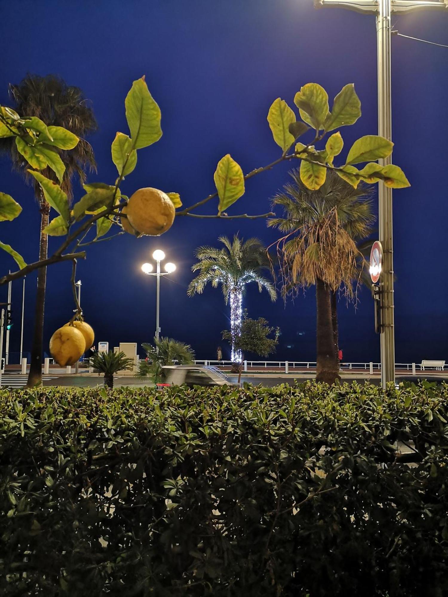 Garden Atlantide Promenade Apartment Nice Ngoại thất bức ảnh